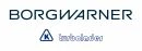 logo BorgWarner (3K)