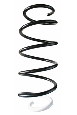 87398 Pružina podvozku SPIDAN