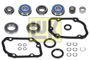 462 0196 10 Opravna sada, mechanicka prevodovka 500133210 Schaeffler LuK