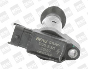 ZS557 Zapalovací cívka BorgWarner (BERU)