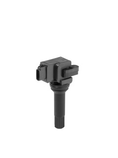 ZSE290 Zapalovací cívka BorgWarner (BERU)
