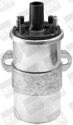 ZS117 BorgWarner (BERU) zapaľovacia cievka ZS117 BorgWarner (BERU)