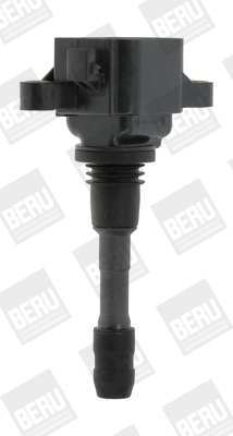 ZSE066 BorgWarner (BERU) zapaľovacia cievka ZSE066 BorgWarner (BERU)