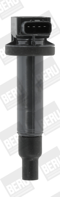 ZSE165 Zapalovací cívka BorgWarner (BERU)
