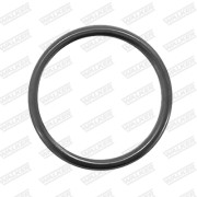 81097 Těsnění, výfuková trubka WALKER