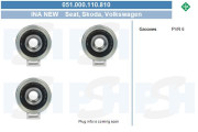 051.000.110.810 Řemenice, generátor Visteon Reman BV PSH