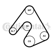 5PK1207WP1 Vodní pumpa + klinový żebrový řemen CONTINENTAL CTAM