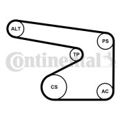 5PK1355WP4 Vodní pumpa + klinový żebrový řemen CONTINENTAL CTAM