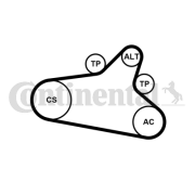 6PK1020 EXTRA K1 Sada žebrovaných klínových řemenů CONTINENTAL CTAM