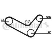 6PK1050D2 Sada žebrovaných klínových řemenů CONTINENTAL CTAM