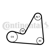 6PK1070K3 Sada žebrovaných klínových řemenů CONTINENTAL CTAM