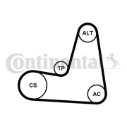 6PK1130K2 Sada žebrovaných klínových řemenů CONTINENTAL CTAM