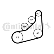 6PK1157 EXTRA K1 Sada žebrovaných klínových řemenů CONTINENTAL CTAM
