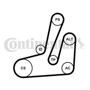 6PK1390K1 Sada žebrovaných klínových řemenů CONTINENTAL CTAM