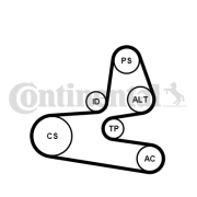 6PK1564K1 Sada žebrovaných klínových řemenů CONTINENTAL CTAM