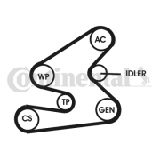 6PK1600D1 Sada žebrovaných klínových řemenů CONTINENTAL CTAM