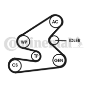 6PK1623D1 Sada žebrovaných klínových řemenů CONTINENTAL CTAM