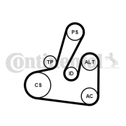 6PK1705K2 Sada žebrovaných klínových řemenů CONTINENTAL CTAM