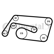 6PK2260K2 Sada žebrovaných klínových řemenů CONTINENTAL CTAM