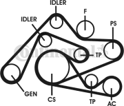 6PK2404D1 Sada žebrovaných klínových řemenů CONTINENTAL CTAM