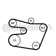 6PK1538K1 CONTINENTAL CTAM ozubený klinový remeň - sada 6PK1538K1 CONTINENTAL CTAM