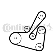 6PK1750K1 CONTINENTAL CTAM ozubený klinový remeň - sada 6PK1750K1 CONTINENTAL CTAM