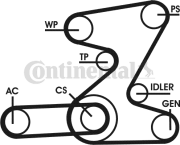 6PK2080D2 CONTINENTAL CTAM ozubený klinový remeň - sada 6PK2080D2 CONTINENTAL CTAM