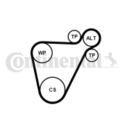 8PK954 EXTRA K1 Sada žebrovaných klínových řemenů CONTINENTAL CTAM