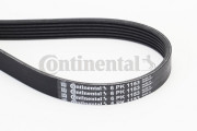 6PK1153 ozubený klínový řemen CONTINENTAL CTAM