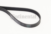 6PK1173 ozubený klínový řemen CONTINENTAL CTAM