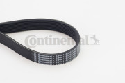8PK1162 EXTRA ozubený klínový řemen CONTINENTAL CTAM