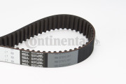 CT828 ozubený řemen CONTINENTAL CTAM