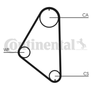 CT558 Ozubený řemen CONTINENTAL CTAM