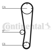 CT602 Ozubený řemen rozvodů CONTINENTAL CTAM