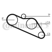 CT612 Ozubený řemen CONTINENTAL CTAM