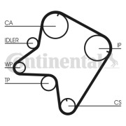CT762 ozubený řemen CONTINENTAL CTAM