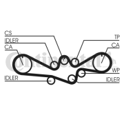 CT792 Ozubený řemen CONTINENTAL CTAM