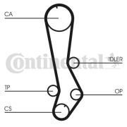 CT876 ozubený řemen CONTINENTAL CTAM