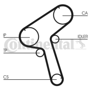 CT917 ozubený řemen CONTINENTAL CTAM