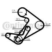 CT938 Ozubený řemen CONTINENTAL CTAM