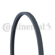 3PJ891 ozubený klínový řemen CONTINENTAL CTAM