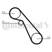 CT703 Ozubený řemen rozvodů CONTINENTAL CTAM