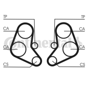 CT886 Ozubený řemen rozvodů CONTINENTAL CTAM