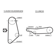 5031 ozubený řemen FleetRunner™ V-Belt GATES