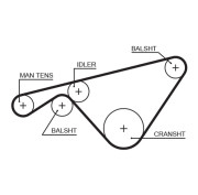 5463XS ozubený řemen FleetRunner™ V-Belt GATES