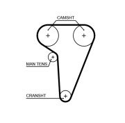 5549XS ozubený řemen FleetRunner™ V-Belt GATES