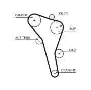 5622XS Ozubený řemen DriveAlign® GATES