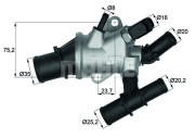 TI 162 88 BEHR termostat chladenia TI 162 88 BEHR