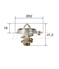 TX 85 82 Termostat, chladivo BEHR