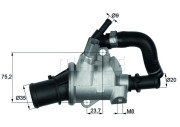 TI 145 88 BEHR termostat chladenia TI 145 88 BEHR